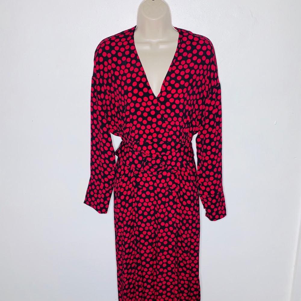 Zara Limited Edition Polka Dot Maxi Dress